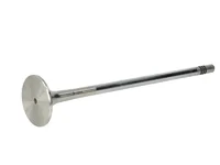 Engine valve Mahle 20768519