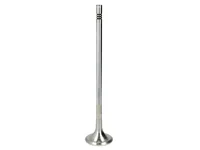 Engine valve Mahle 20768519