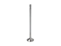Engine valve Mahle 20464020