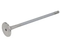 Engine valve Mahle 20464020