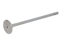 Engine valve Mahle 20540012