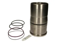 cilinderbus Mahle 20760235