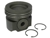 Piston Mahle 20727440