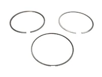 Piston ring kit Mahle 20747511