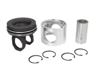 Piston Mahle 1545952