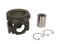 Piston Mahle 20958115