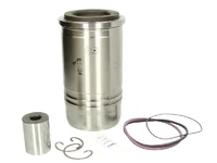 Piston Mahle 21584579