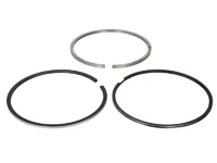 Piston ring kit Mahle 282674