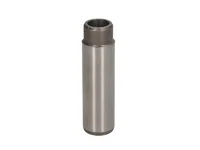Valve guide Mahle 51032010088