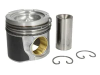 Piston Mahle 51025006337