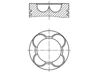Piston Mahle 51025006337