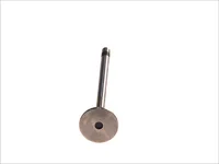 Engine valve Mahle 51041010546