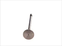 Engine valve Mahle 51041010574