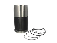 cilinderbus Mahle 51012010265