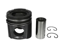 Piston Mahle 51025006041