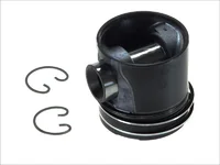 Piston Mahle 51025006103