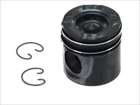 Piston Mahle 51025006103