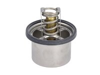 Termostato Mahle 22031575