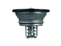 Termostat Mahle 7420560249