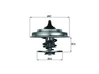 Termostat Mahle 52030475