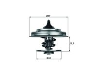 Thermostat Mahle 4738169