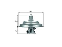 Termostato Mahle 42031675