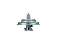 Termostato Mahle 42031675