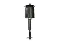Amortizor SACHS