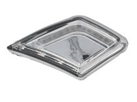 controlelampje Trucklight 9608201521