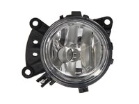 Fendinebbia Trucklight 9608200556