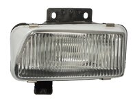 Fendinebbia Trucklight