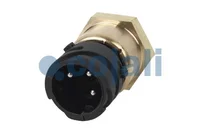Sensor Cojali 20428459