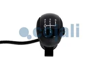 Gear shift knob Cojali 81326200095