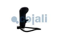 Gear shift knob Cojali 81326200095