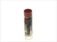 Дюза BOSCH 500302484
