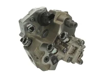 Common-rail BOSCH 4896958