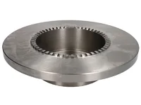 Disco rotto BOSCH 2994066