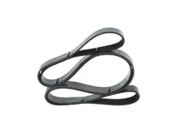 V-riem BOSCH 1389031