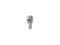 Sproeier BOSCH 5600735882