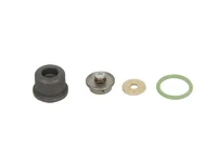 Pump element BOSCH