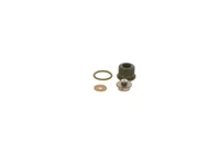 Pump element BOSCH
