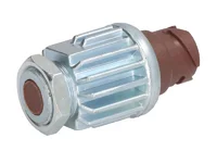 Bremslichtschalter Uni-Truck 81255200134