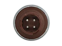 Bremslichtschalter Uni-Truck 81255200134