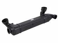 Radiatore EGR DAF 2194925