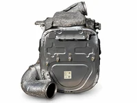 Catalizzatore DAF 2188253