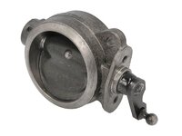 Auspuffbremse CZM 81156010024