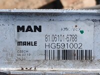Radiator MAN 81061010075