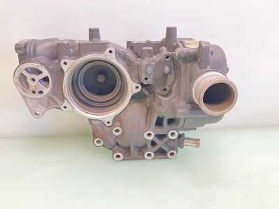 Kühlmittelpumpe DAF 2407423 Kühlmittelpumpe DAF 2407423