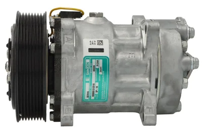 Air conditioning pump Sanden 5010483099