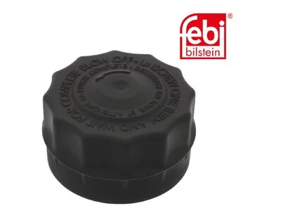 Tappo antigelo Febi 55 16 031 803 Tappo antigelo Febi 55 16 031 803